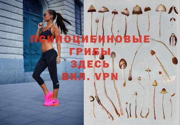 MDMA Premium VHQ Верея