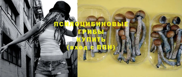 Альфа ПВП Володарск